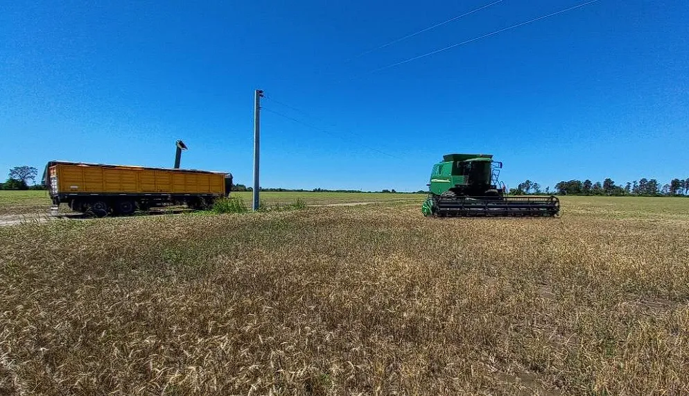 Captura de pantalla 2023-11-08 083823