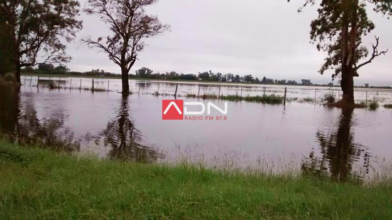 64ca5040-a192-49f7-9505-652696eea746