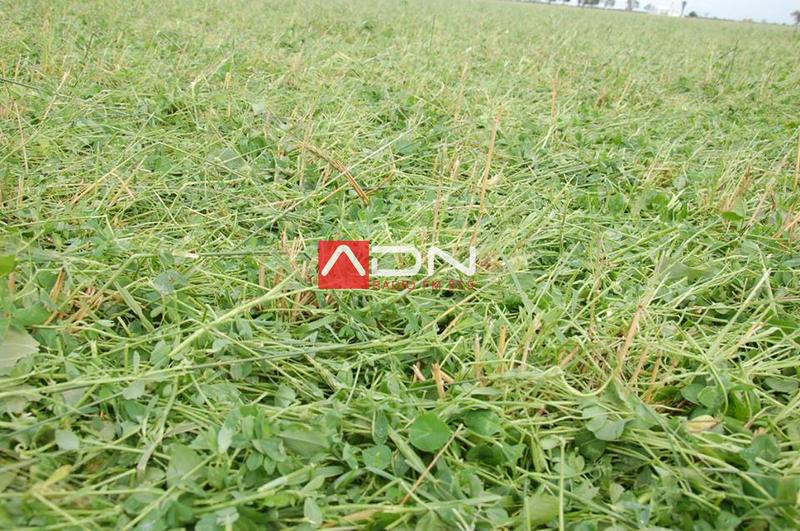 14991901_910580105739966_5337758217275263426_n