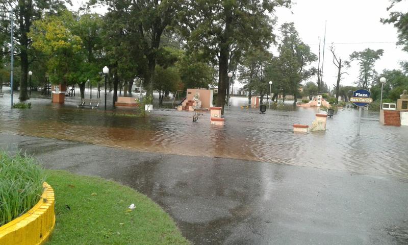 12977209_1032689553464727_9059204353910253401_o