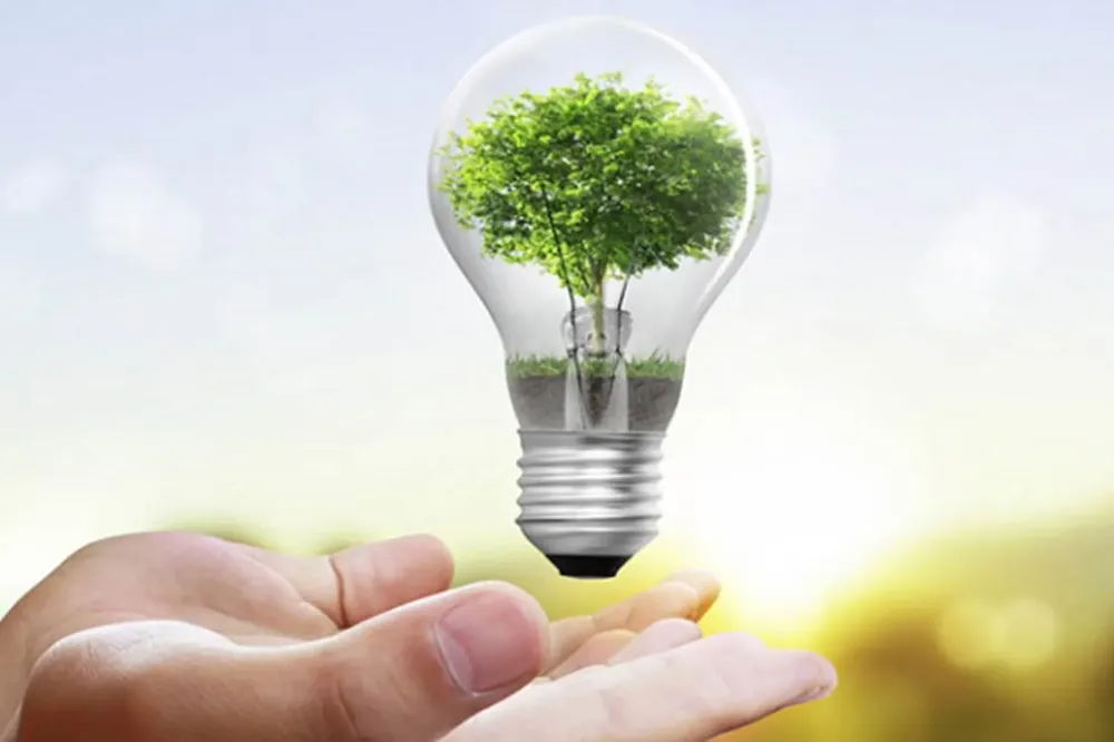 NotificacionesSistema_000627572W_06-06-2024_18_26_15