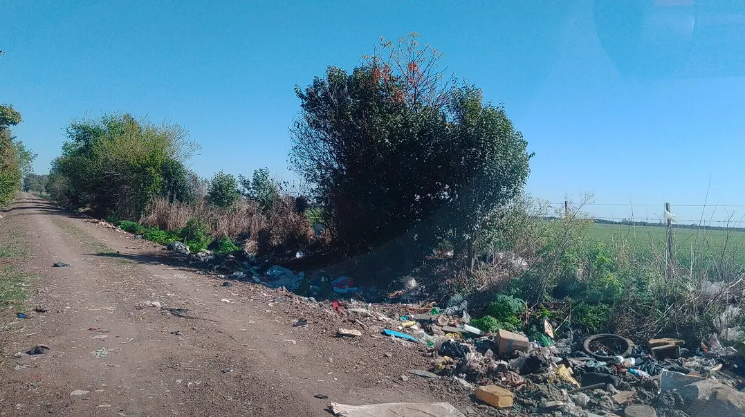 Captura de pantalla 2025-04-29 193707