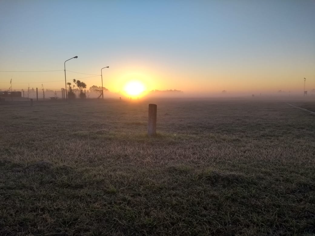 WhatsApp Image 2019-08-20 at 07.44.28