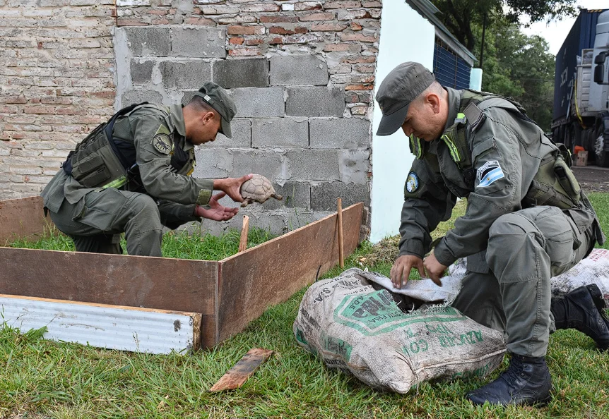 Captura de pantalla 2026-02-12 191138