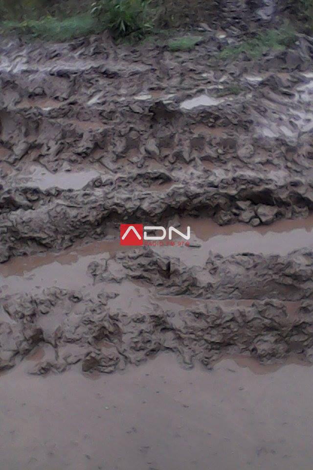 12980403_263626127310911_1055943616_n