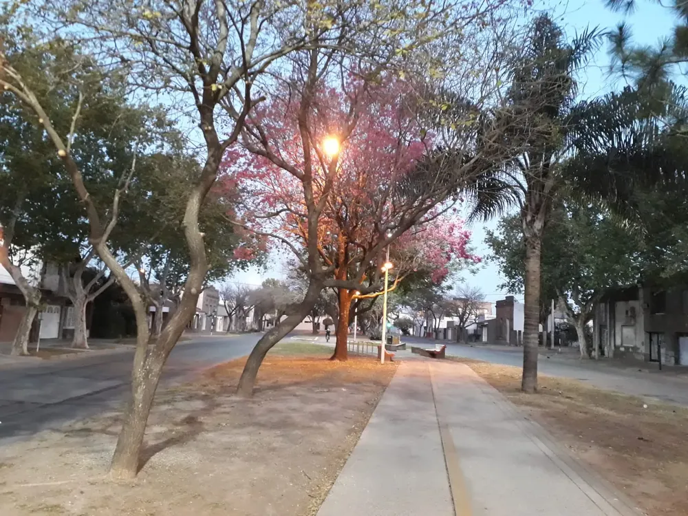 Amanecer despejado 3