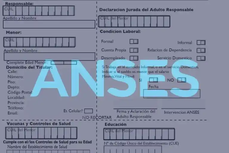 hasta_el_31_de_diciembre_hay_tiempo_para_completar_y_entregar_la_libreta_auh_202