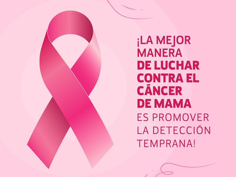 news_d_cancer-de-mama-7482