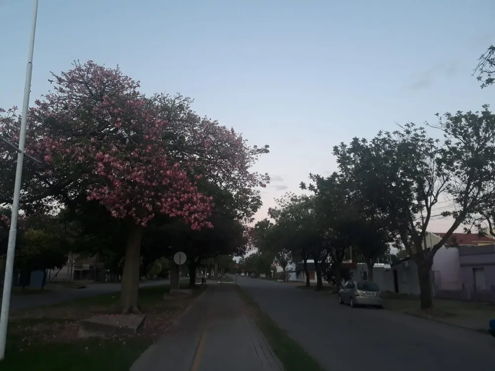Cielo lig. nublado