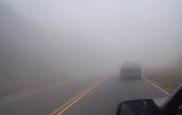 niebla-19