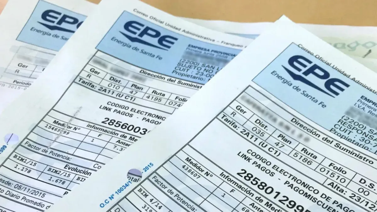 WhatsApp Image 2025-01-24 at 9.49.21 AM