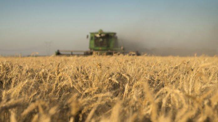RETENCIONES-AL-CAMPO-696x392-1
