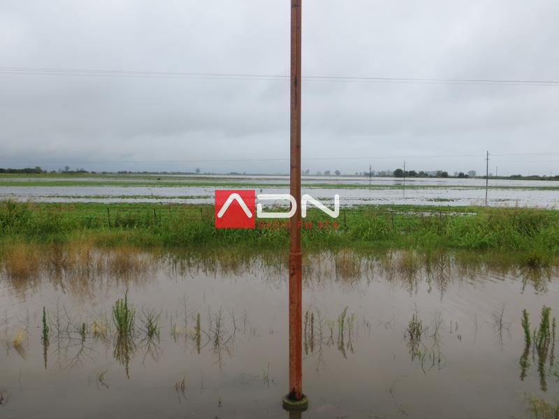 17 (R22 al norte de Ramona, antes de Ramolac) 030117