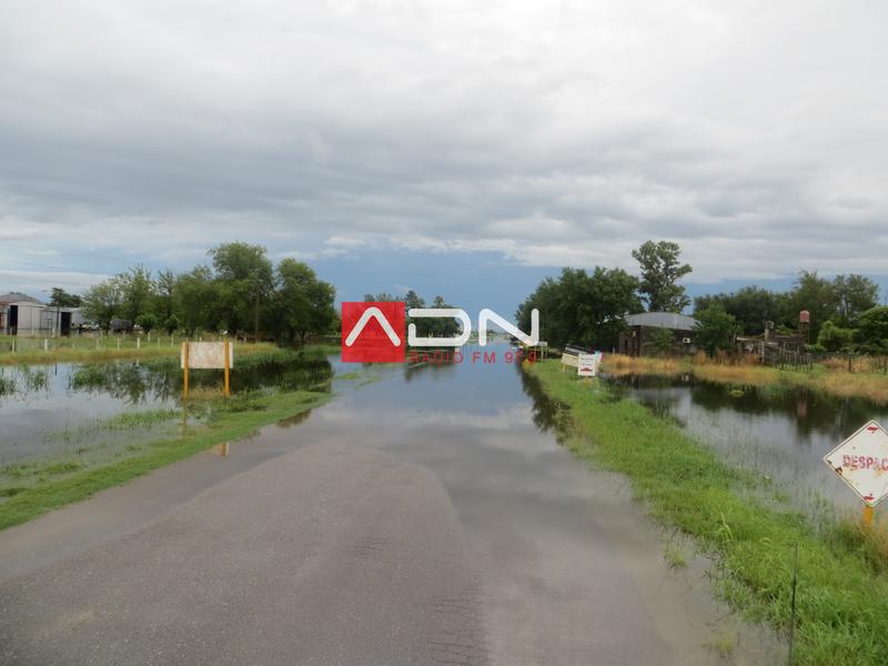 19 (Ingreso a Marini vista al Norte) 030117