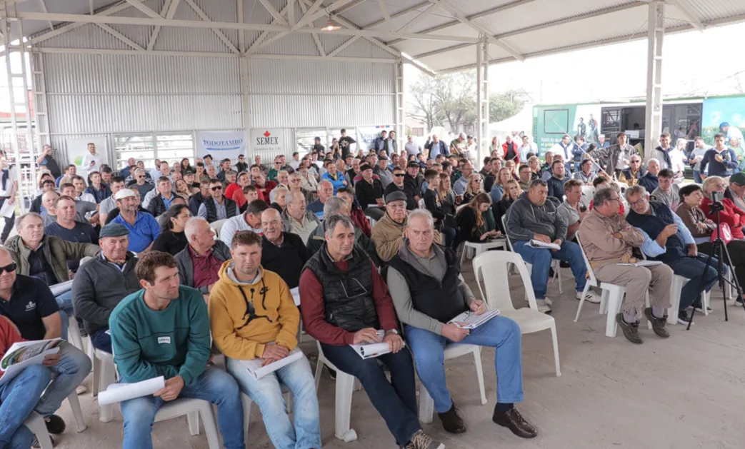 Captura de pantalla 2024-06-14 201841