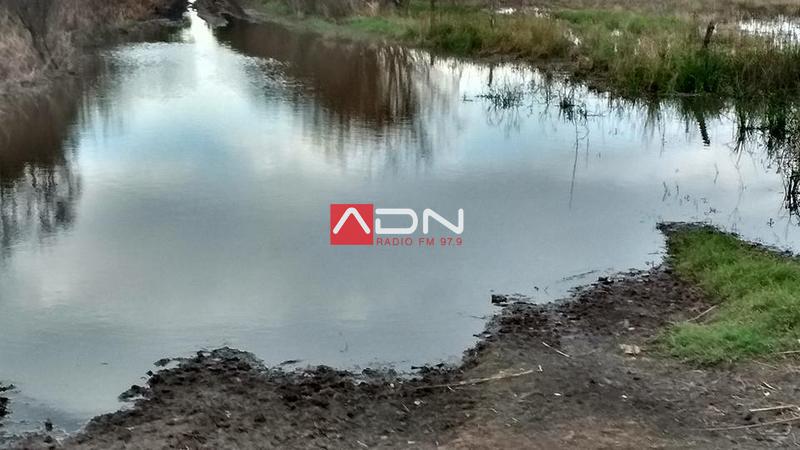 13226740_1298853726811090_2549520222621558718_n