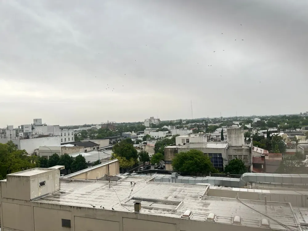 WhatsApp Image 2025-11-12 at 8.16.12 AM