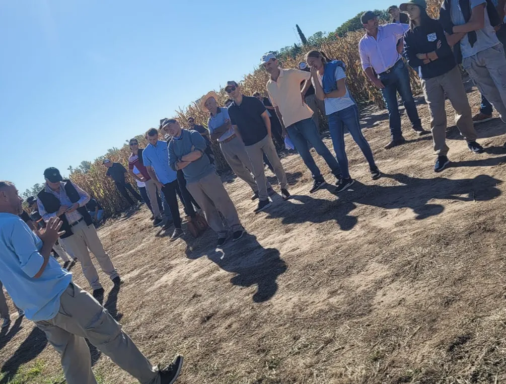 Captura de pantalla 2025-04-03 204238