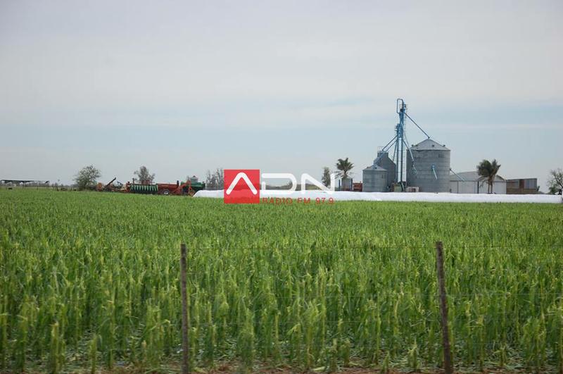 14993426_910579969073313_2045632846610604194_n