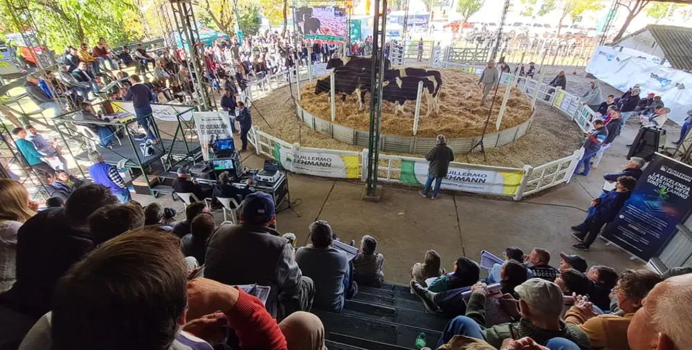 Captura de pantalla 2024-05-09 210946