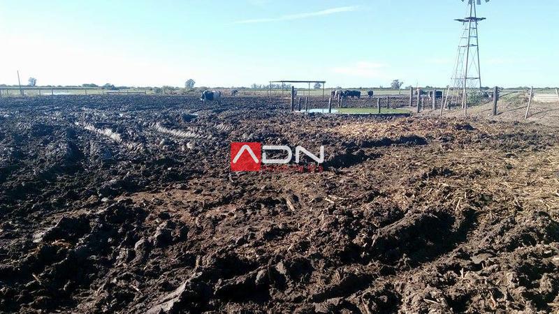 13100959_1180625988667856_196007896838591987_n