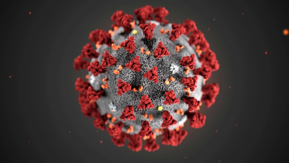coronavirus_290524_1_5e39636d4ba05