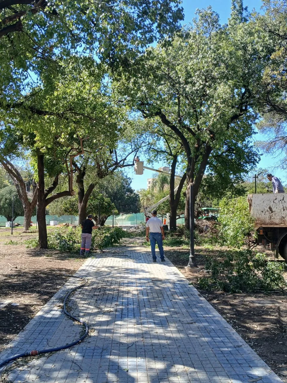 WhatsApp Image 2025-08-27 at 14.59.51