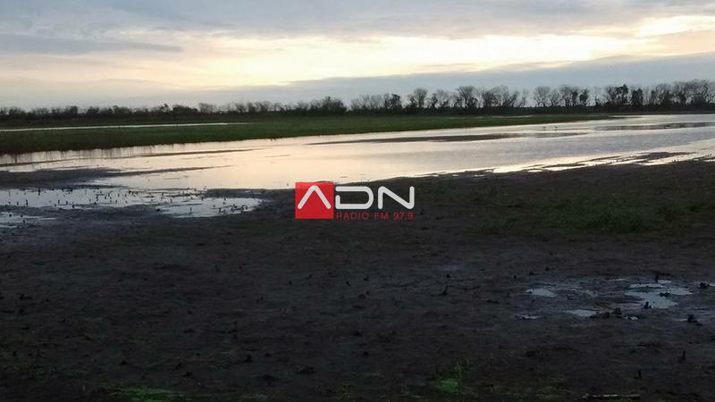 13221002_1298853523477777_1472276242390868282_n