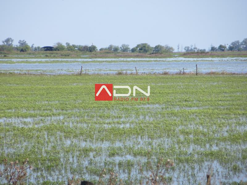 78 (R22 entre Eusebia y P. Marini soja perdida) 110117