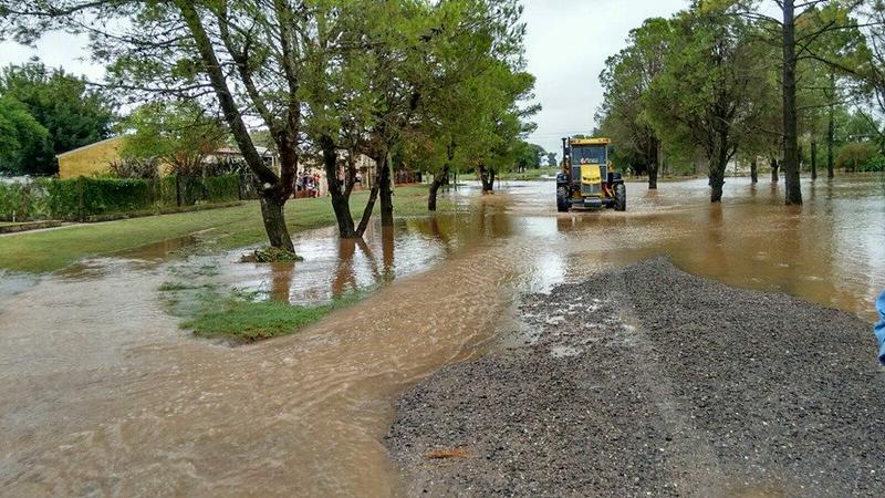 12687921_10154539489449046_3872399505645224258_n