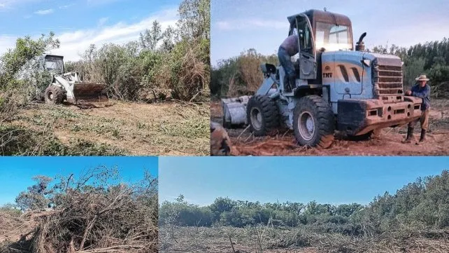 maquinas-desmontar-parana-delta-fuego-incendiosjpg