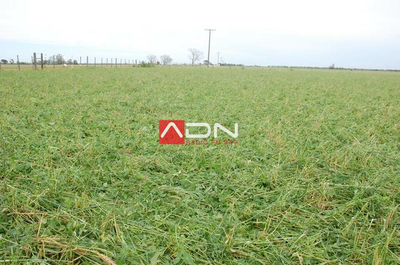 14993502_910580139073296_478755534732226644_n